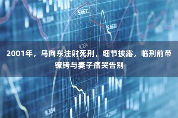 2001年，马向东注射死刑，细节披露，临刑前带镣铐与妻子痛哭告别