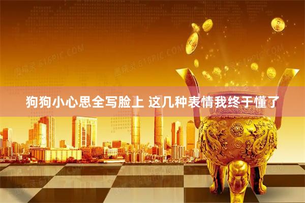 狗狗小心思全写脸上 这几种表情我终于懂了
